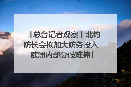 总台记者观察丨北约防长会拟加大防务投入 欧洲内部分歧难掩
