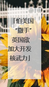 怕美国“撒手” 英国欲加大开发核武力