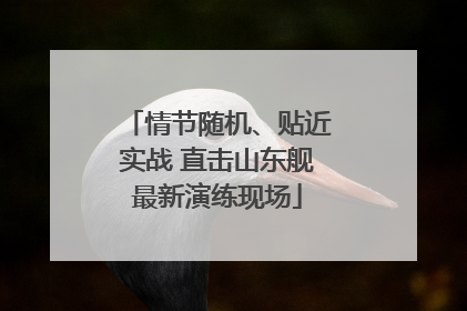情节随机、贴近实战 直击山东舰最新演练现场