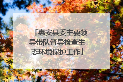 惠安县委主要领导带队督导检查生态环境保护工作