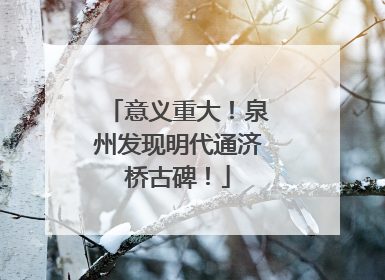 意义重大！泉州发现明代通济桥古碑！