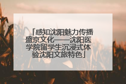 感知沈阳魅力传播盛京文化——沈阳医学院留学生沉浸式体验沈阳文旅特色