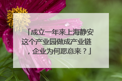 成立一年来上海静安这个产业园做成产业链，企业为何愿意来？