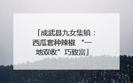 成武县九女集镇：西瓜套种辣椒 “一地双收”巧致富