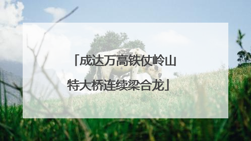 成达万高铁仗岭山特大桥连续梁合龙
