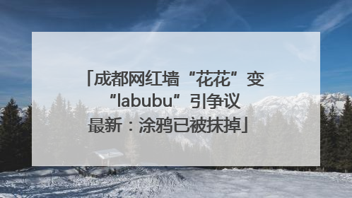 成都网红墙“花花”变“labubu”引争议 最新：涂鸦已被抹掉