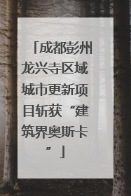 成都彭州龙兴寺区域城市更新项目斩获“建筑界奥斯卡”