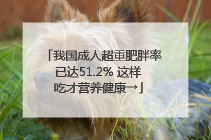 我国成人超重肥胖率已达51.2% 这样吃才营养健康→