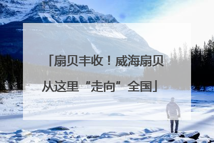 扇贝丰收！威海扇贝从这里“走向”全国