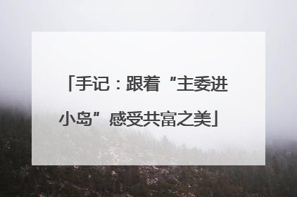手记：跟着“主委进小岛”感受共富之美