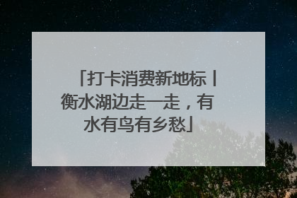 打卡消费新地标丨衡水湖边走一走，有水有鸟有乡愁