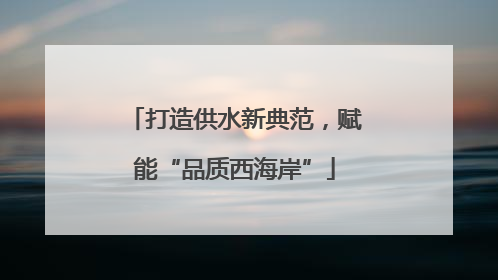 打造供水新典范，赋能“品质西海岸”