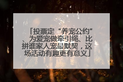投票定“养宠公约”、为爱宠做牵引绳、比拼谁家人宠最默契，这场活动有趣更有意义