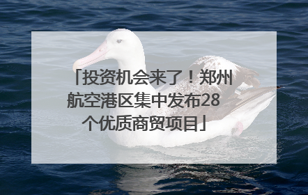 投资机会来了！郑州航空港区集中发布28个优质商贸项目