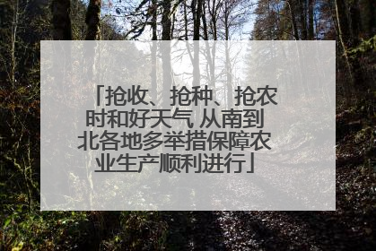 抢收、抢种、抢农时和好天气 从南到北各地多举措保障农业生产顺利进行
