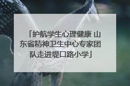 护航学生心理健康 山东省精神卫生中心专家团队走进堤口路小学