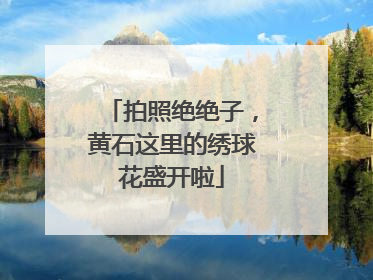 拍照绝绝子，黄石这里的绣球花盛开啦