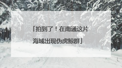 拍到了！在南通这片海域出现伪虎鲸群
