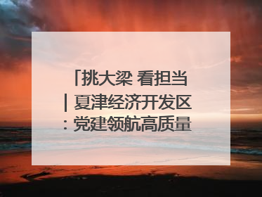挑大梁 看担当｜夏津经济开发区：党建领航高质量发展新实践