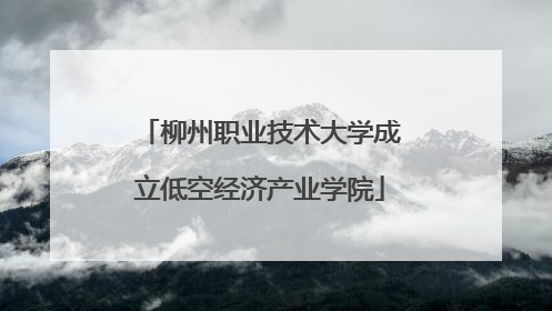 柳州职业技术大学成立低空经济产业学院