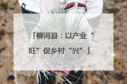 柳河县：以产业“旺”促乡村“兴”