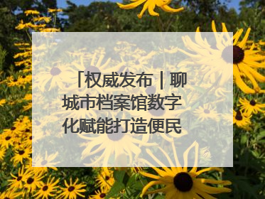 权威发布｜聊城市档案馆数字化赋能打造便民服务新模式