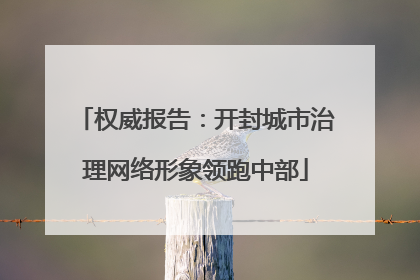权威报告：开封城市治理网络形象领跑中部