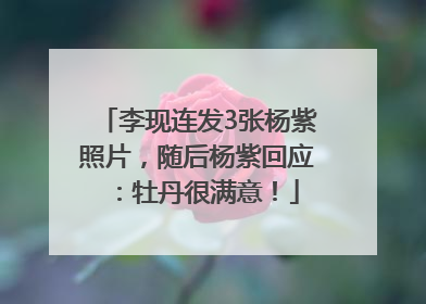 李现连发3张杨紫照片，随后杨紫回应：牡丹很满意！