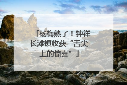 杨梅熟了！钟祥长滩镇收获“舌尖上的惊喜”
