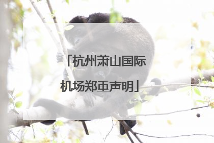 杭州萧山国际机场郑重声明