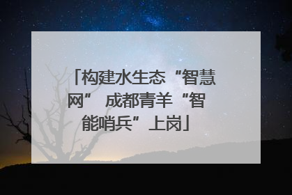 构建水生态“智慧网” 成都青羊“智能哨兵”上岗