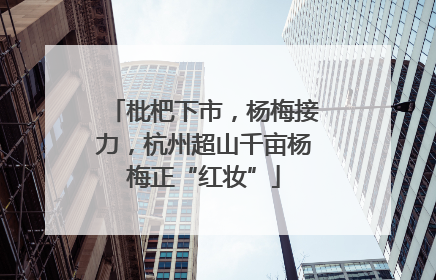 枇杷下市，杨梅接力，杭州超山千亩杨梅正“红妆”
