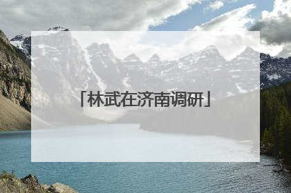 林武在济南调研