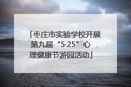 枣庄市实验学校开展第九届“5·25”心理健康节游园活动