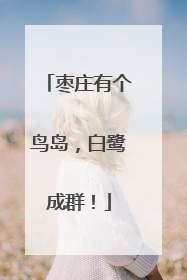 枣庄有个鸟岛，白鹭成群！