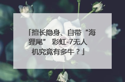擅长隐身、自带“海狸尾” 彩虹-7无人机究竟有多牛？