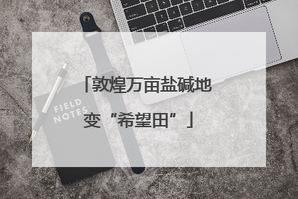 敦煌万亩盐碱地变“希望田”