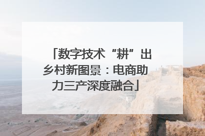 数字技术“耕”出乡村新图景：电商助力三产深度融合