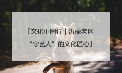文化中国行｜沂蒙老区“守艺人”的文化匠心
