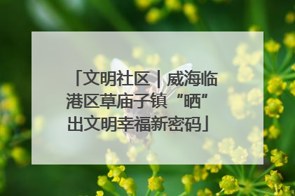 文明社区｜威海临港区草庙子镇“晒”出文明幸福新密码
