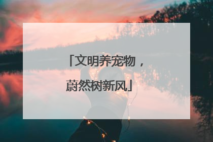 文明养宠物，蔚然树新风