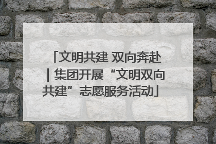 文明共建 双向奔赴｜集团开展“文明双向共建”志愿服务活动