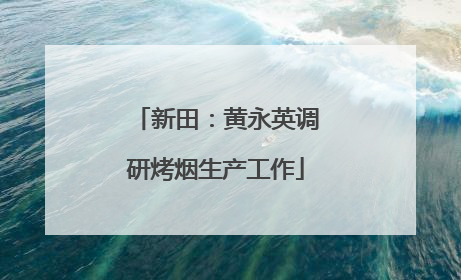 新田：黄永英调研烤烟生产工作