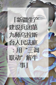 新疆生产建设兵团第九师乌拉斯台人民法庭：用“三调联动”解牛事