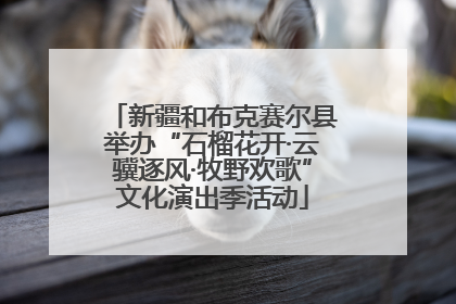 新疆和布克赛尔县举办“石榴花开·云骥逐风·牧野欢歌”文化演出季活动