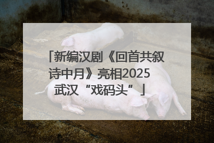 新编汉剧《回首共叙诗中月》亮相2025武汉“戏码头”