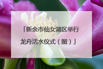 新余市仙女湖区举行龙舟活水仪式（图）