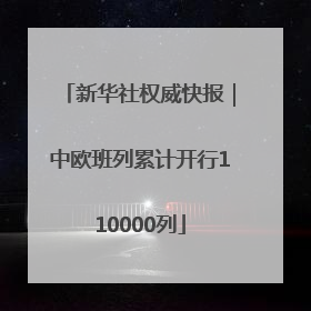 新华社权威快报｜中欧班列累计开行110000列