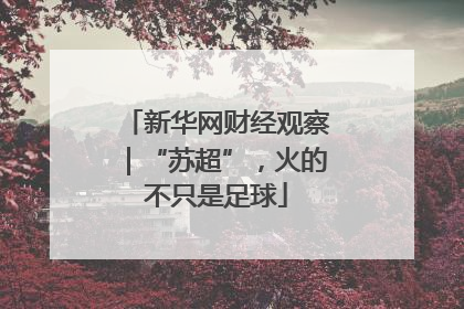新华网财经观察｜“苏超”，火的不只是足球