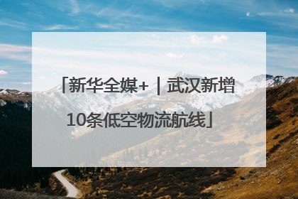新华全媒+｜武汉新增10条低空物流航线